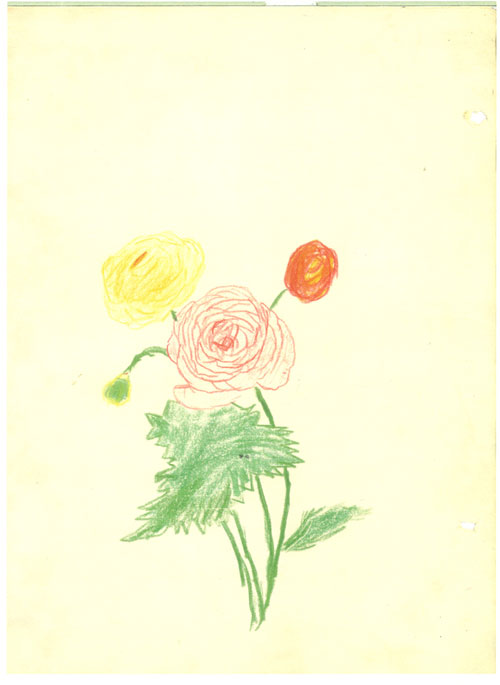 Pintura "Ranúnculo", do livro "As Flores" - 1985